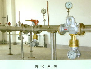 諧振剪切應(yīng)變流量傳感系統(tǒng)在校準(zhǔn)修正中的相位建模方案標(biāo)準(zhǔn)化配置手冊(cè)